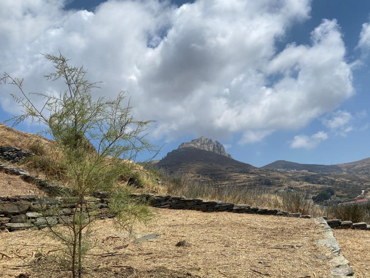 Alonaki Tinos Rental Cottage House Skaládhos Eksteriør bilde